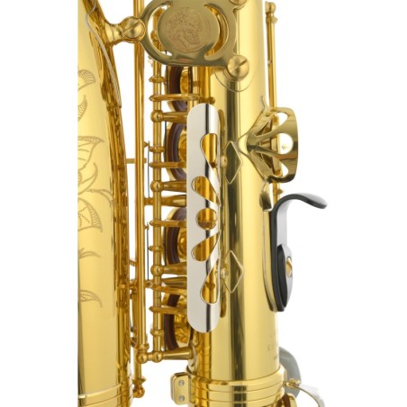 JUPITER Stellar JASSTRQ