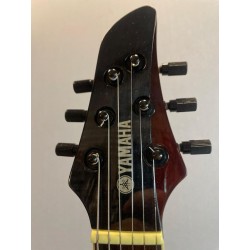 YAMAHA RGX 520 DZ (USATO)