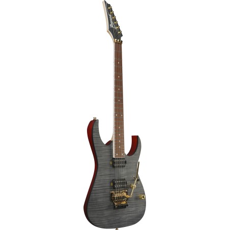 Ibanez RGR420FMSP-TGF Transparent Gray Flat