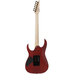 Ibanez RGR420FMSP-TGF Transparent Gray Flat