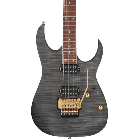 Ibanez RGR420FMSP-TGF Transparent Gray Flat