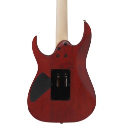 Ibanez RGR420FMSP-TGF Transparent Gray Flat