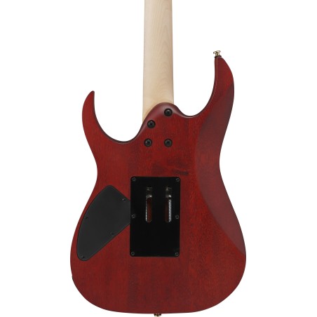 Ibanez RGR420FMSP-TGF Transparent Gray Flat