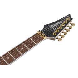 Ibanez RGR420FMSP-TGF Transparent Gray Flat