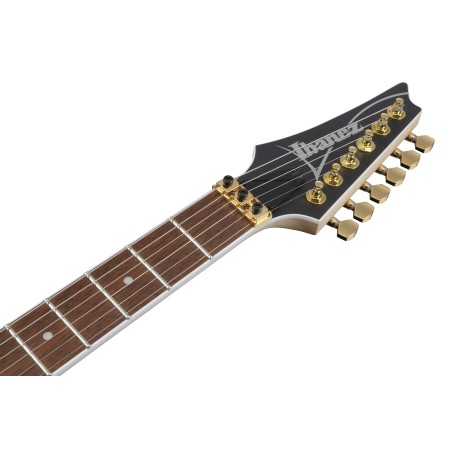 Ibanez RGR420FMSP-TGF Transparent Gray Flat