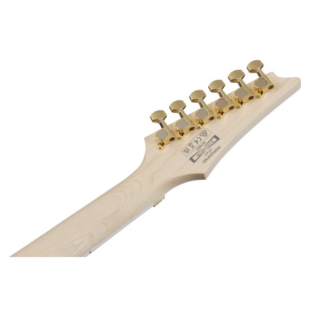 Ibanez RGR420FMSP-TGF Transparent Gray Flat