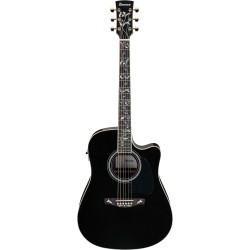 Ibanez AW391RCE-BKH Black High Gloss Top