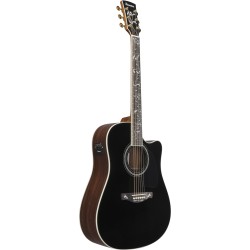 Ibanez AW391RCE-BKH Black High Gloss Top