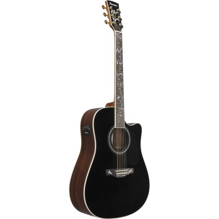 Ibanez AW391RCE-BKH Black High Gloss Top