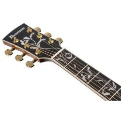 Ibanez AW391RCE-BKH Black High Gloss Top
