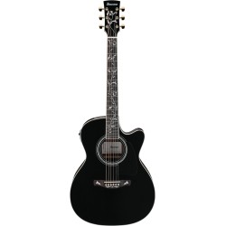 Ibanez AC391RCE-BKH Black Natural High Gloss Top