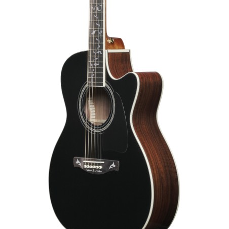 Ibanez AC391RCE-BKH Black Natural High Gloss Top