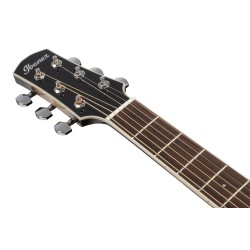 Ibanez AAM370M1CE-TPA Transparent Panda High Gloss Finish