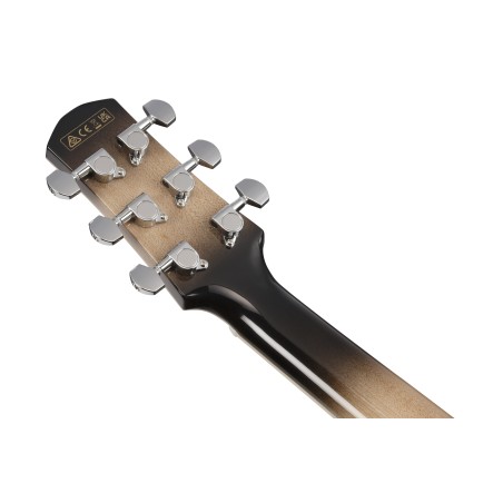 Ibanez AAM370M1CE-TPA Transparent Panda High Gloss Finish