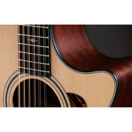 Taylor 354ce 12-Strings