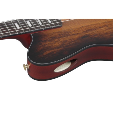 Ibanez FRH20SMN-TCL Tobacco Burst Low Gloss
