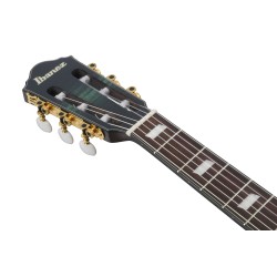 Ibanez FRH20FMN-DGL Deep Emerald Green Low Gloss