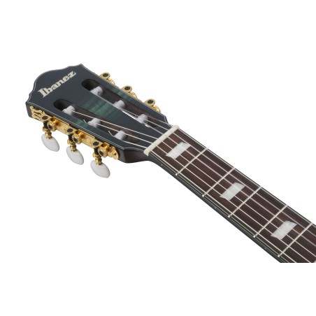 Ibanez FRH20FMN-DGL Deep Emerald Green Low Gloss