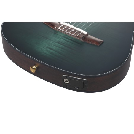 Ibanez FRH20FMN-DGL Deep Emerald Green Low Gloss