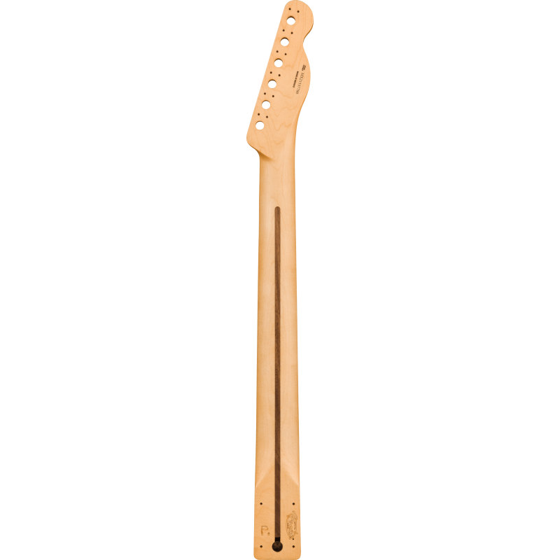 Fender Player Series Telecaster Reverse Headstock Neck Pau Ferro 9.5" Modern C