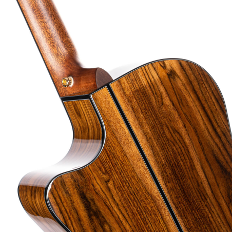 Cort Gold-A6 Bocote Natural Gloss