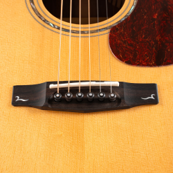 Cort Gold-A6 Bocote Natural Gloss