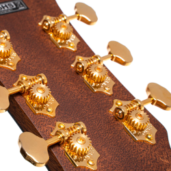 Cort Gold-A6 Bocote Natural Gloss