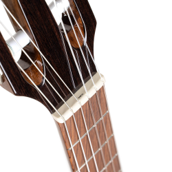 Cort Sunset Nylectric II Black