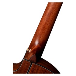 Cort Gold-OC8 Nylon Natural Gloss