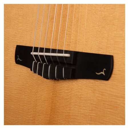 Cort Gold-OC8 Nylon Natural Gloss