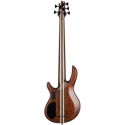 Cort Artisan A5 Ultra Ash Etched Natural Black
