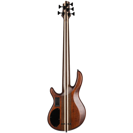 Cort Artisan A5 Ultra Ash Etched Natural Black