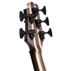 Cort Artisan A5 Ultra Ash Etched Natural Black