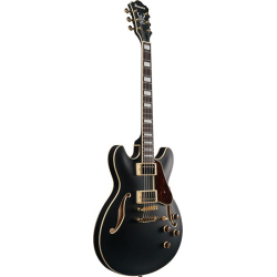 Ibanez AS73G-BKF Black Flat