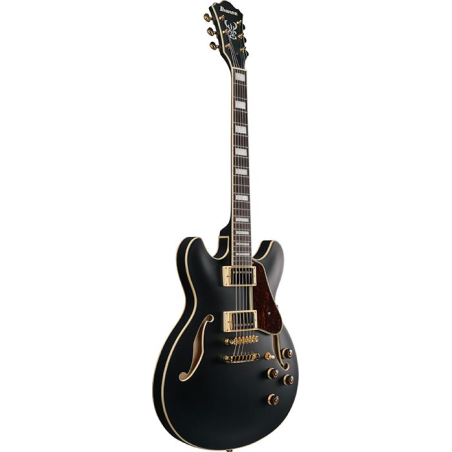 Ibanez AS73G-BKF Black Flat