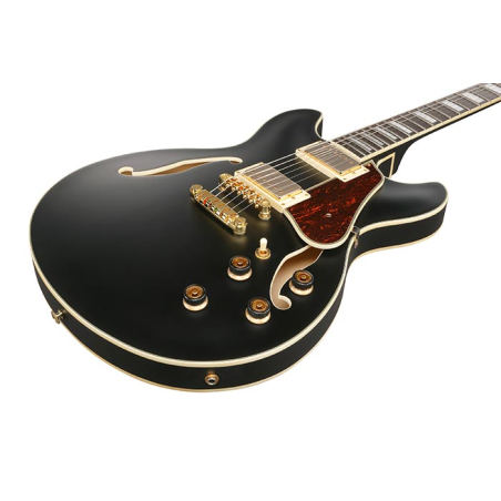 Ibanez AS73G-BKF Black Flat