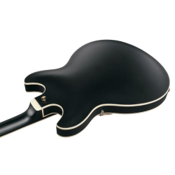 Ibanez AS73G-BKF Black Flat