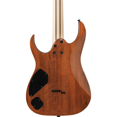 Ibanez RGR5221B-TCB Transparent Charcoal Burst