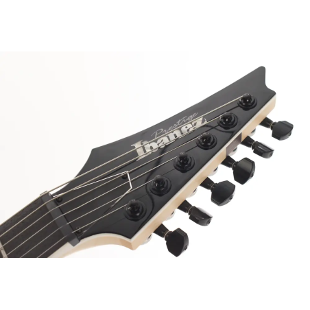Ibanez RGR5221B-TCB Transparent Charcoal Burst