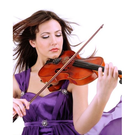 Gewa Set Violino Allegro 1/2 401603