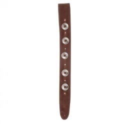 D'Addario 25SSC01