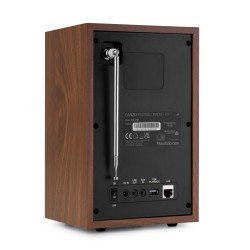 Audizio Canzo Walnut