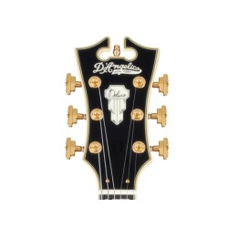 D'Angelico Deluxe SS Satin Brown Burst
