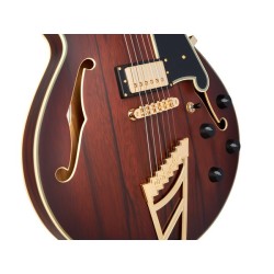 D'Angelico Deluxe SS Satin Brown Burst