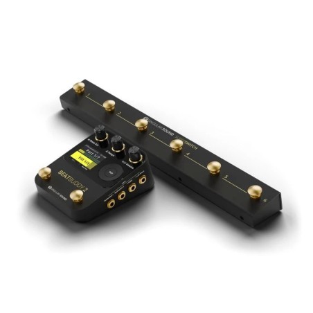 SINGULAR SOUND Superswitch