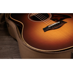 Taylor GS Mini-e Rosewood SB