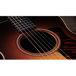 Taylor GS Mini-e Rosewood SB