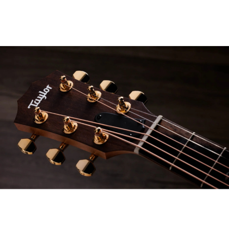 Taylor Sunset Blvd GS Mini-e Rosewood SEB