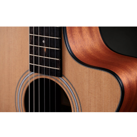 Taylor 112ce-N