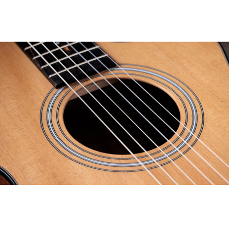 Taylor 112ce-N